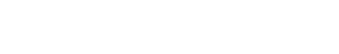 Asset 4